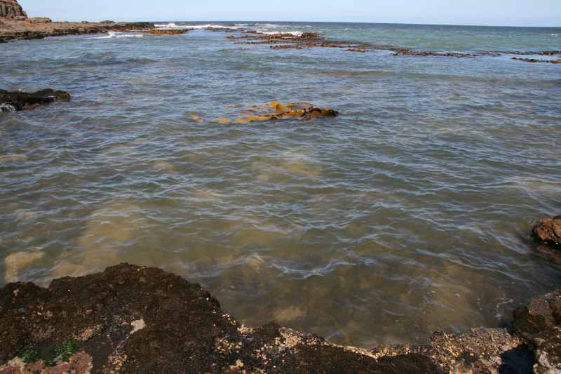 Nieuw-Zeeland 2011 - 1817